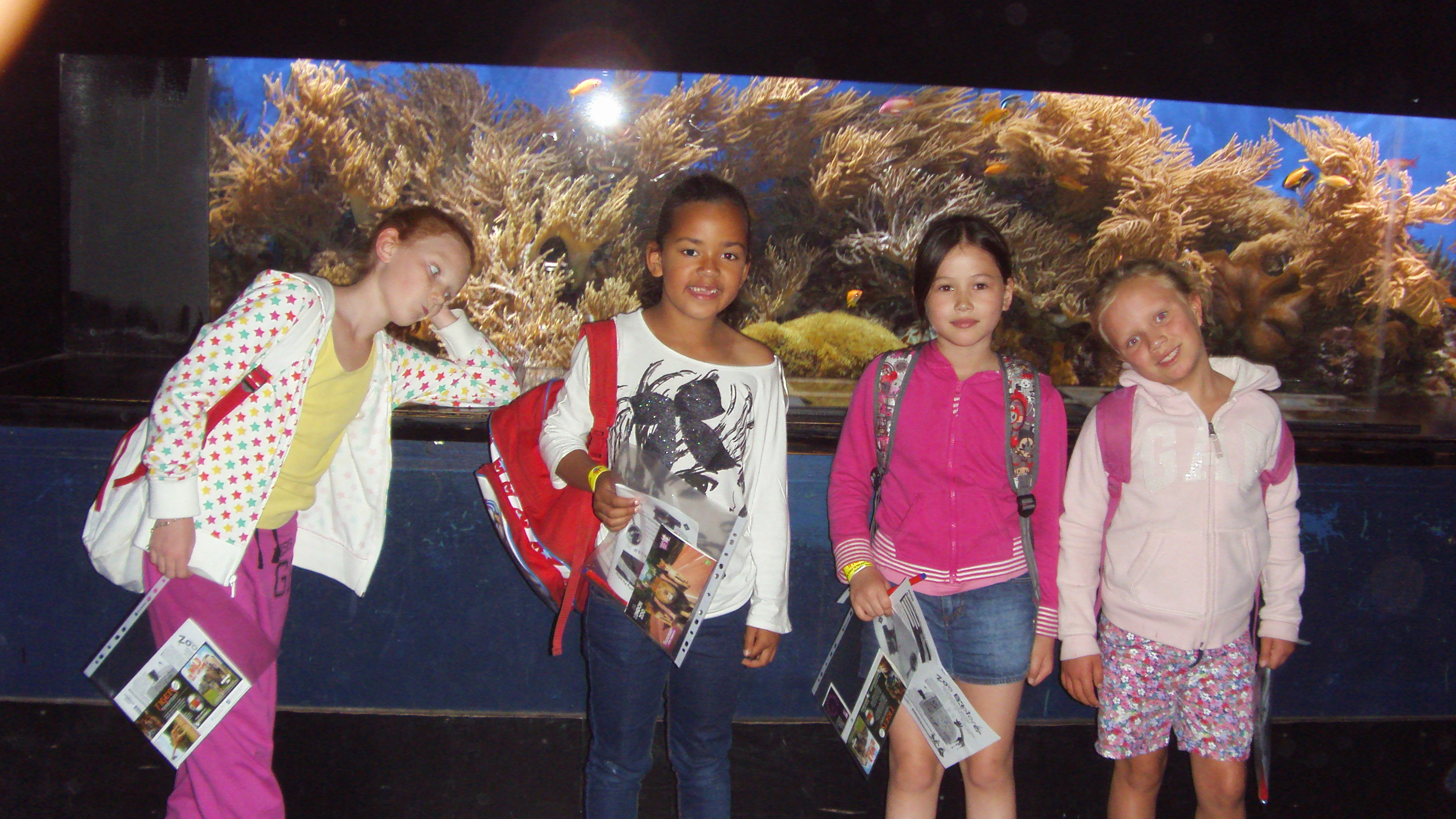 Summer 2012 Junior Holiday Scheme