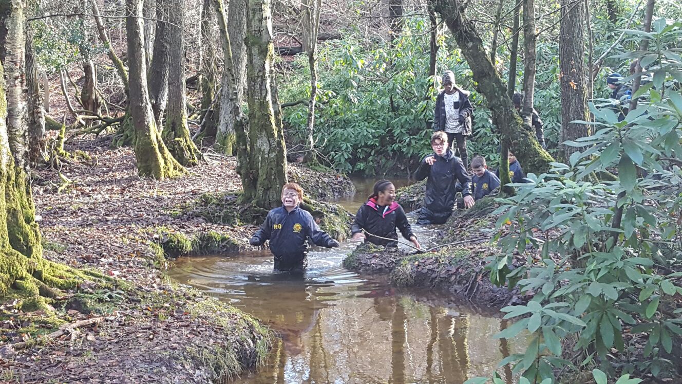 January 2017 Hindleap Warren Residential